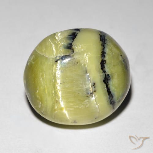 Opala Olho de Gato Verde amarelado Natural 7.62ct, oval, Opaco