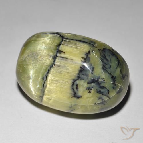 Opala Olho de Gato Verde médio Natural 21.84ct, oval, Opaco
