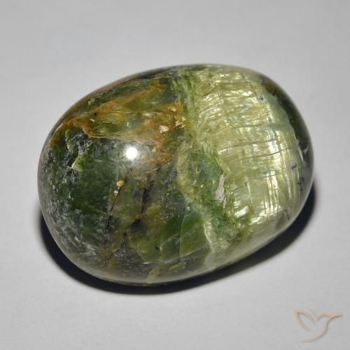 Opala Olho de Gato Verde Terroso Natural 18.89ct, oval, Opaco