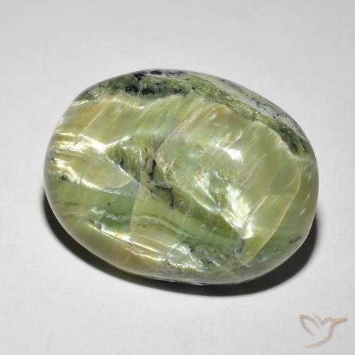 Opala Olho de Gato Verde amarelado Natural 14.58ct, oval, Opaco