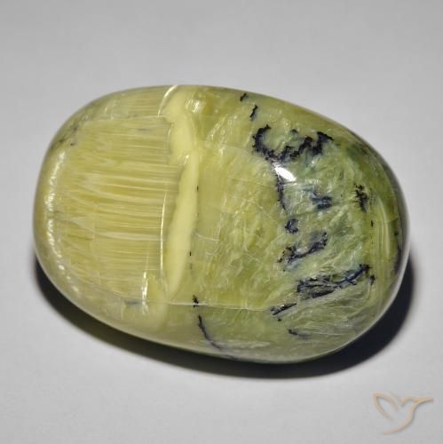 Opala Olho de Gato Terra Verde Natural 39.60ct, oval, Opaco
