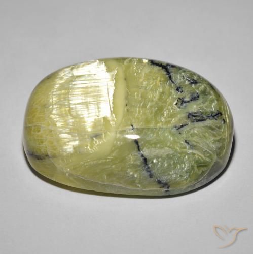 Opala Olho de Gato Terra Verde Natural 39.60ct, oval, Opaco