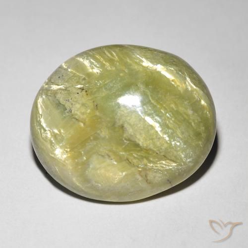 9.84ct Natural Verde Floresta Quente Opala Olho de Gato, oval, Opaco