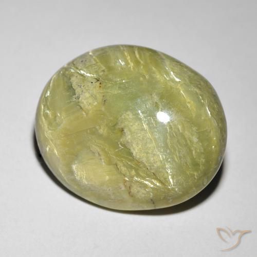 Opala Olho de Gato Verde Floresta Quente Natural 9.84ct, oval, Opaco