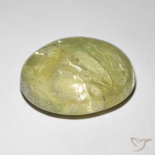 Opala Olho de Gato Verde Floresta Quente Natural 9.84ct, oval, Opaco