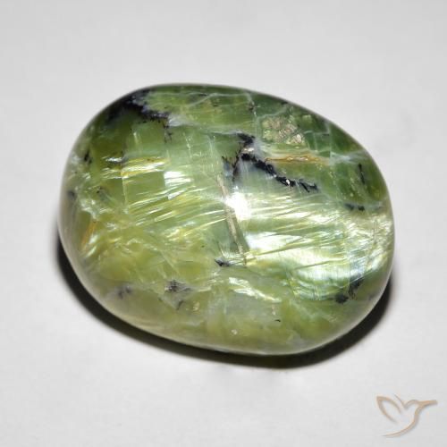 14.55ct Natural Verde médio Opala Olho de Gato, oval, Opaco