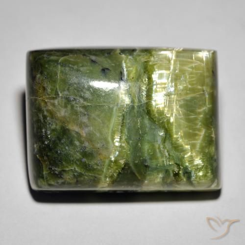 25.23ct Natural Terra Verde Opala Olho de Gato, baguete, Opaco