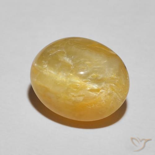 Opala Olho de Gato Dourado Natural 7.90ct, oval, Opaco