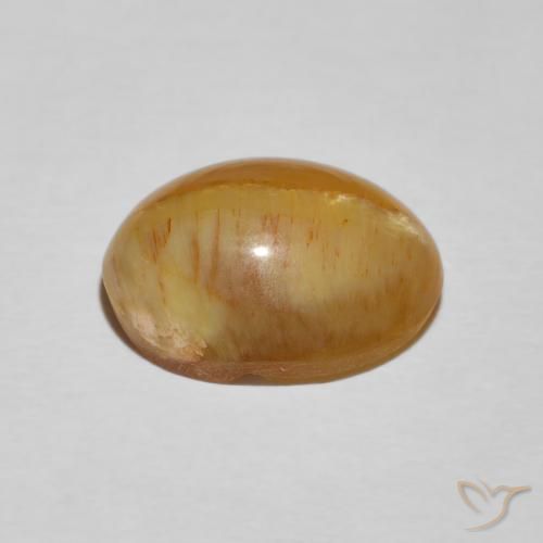 Opala Olho de Gato Marrom dourado Natural 4.86ct, oval, Opaco