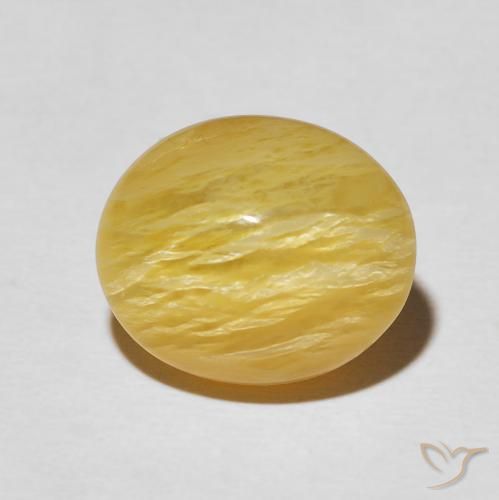 6.32ct Natural Goldenrod amarelo Opala Olho de Gato, oval, Opaco
