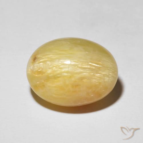14.38ct Natural Goldenrod amarelo Opala Olho de Gato, oval, Opaco
