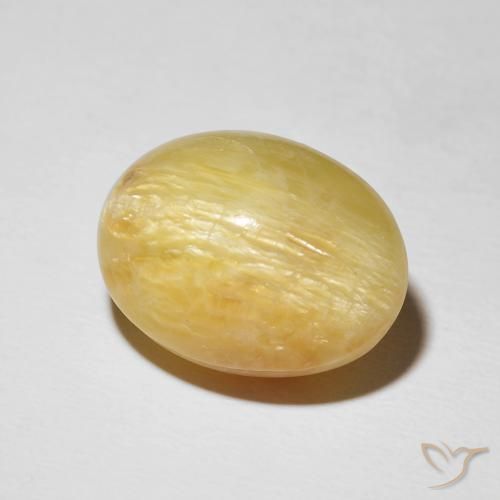 Opala Olho de Gato Goldenrod amarelo Natural 14.38ct, oval, Opaco