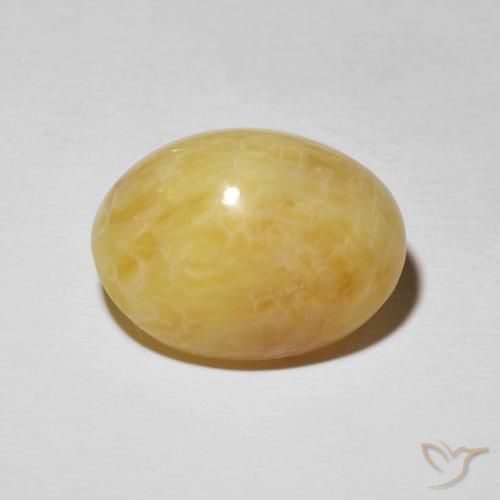 Opala Olho de Gato Goldenrod amarelo Natural 14.38ct, oval, Opaco