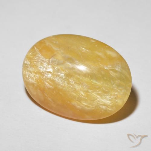 Opala Olho de Gato ouro médio Natural 19.78ct, oval, Opaco