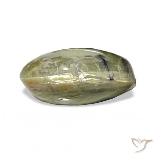 3.02ct Verde amarelado Opala Olho de Gato, oval, Opaco
