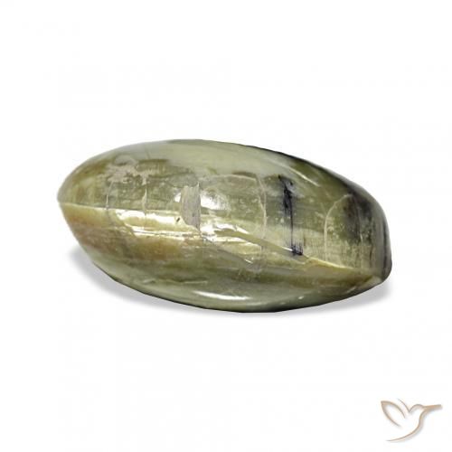 Opala Olho de Gato Verde amarelado Natural 3.02ct, oval, Opaco