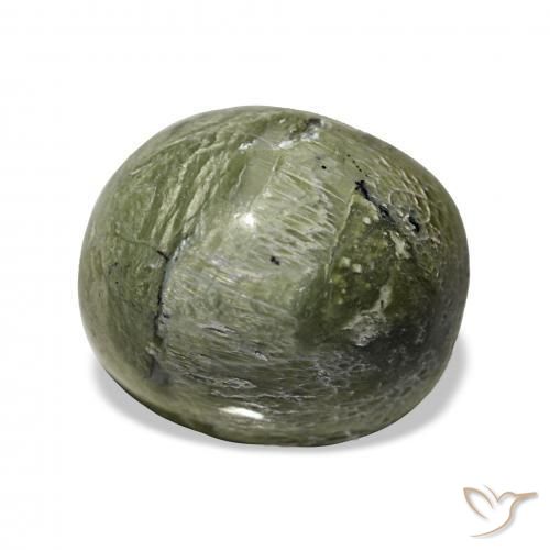 Opala Olho de Gato Verde amarelado Natural 4.64ct, oval, Opaco