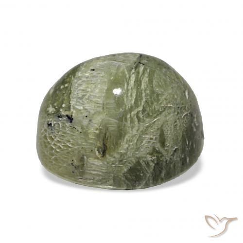 Opala Olho de Gato Verde amarelado Natural 4.64ct, oval, Opaco