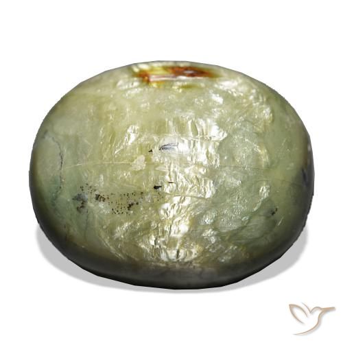 Opala Olho de Gato Verde Terroso Natural 21.69ct, Almofada, Opaco