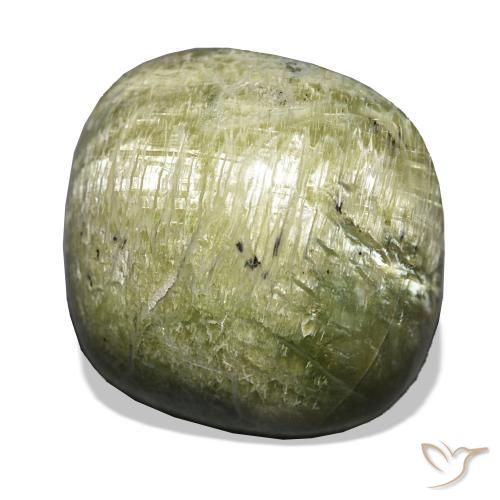 Opala Olho de Gato Verde médio Natural 19.28ct, Almofada, Opaco