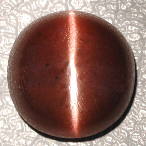 Cat's eye scapolite marrom natural 4,26ct, corte oval, opaco