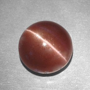 Cat's eye scapolite marrom natural 2,78ct, corte redondo, opaco