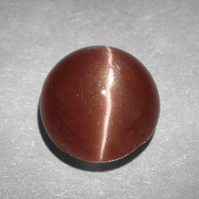 Cat's eye scapolite marrom natural 2,78ct, corte redondo, opaco