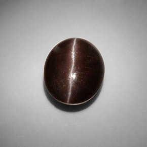 Cat's eye scapolite marrom natural 8,66ct, corte oval, translúcido