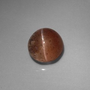 Cat's eye scapolite marrom natural 2,31ct, transparente, transparente/translúcido