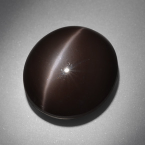 Cat's eye scapolite marrom natural 24,01ct, corte oval, opaco