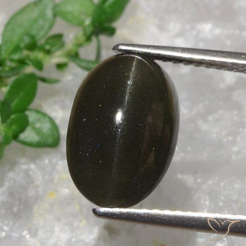 Cat's eye scapolite marrom natural 6,38ct, corte oval, translúcido
