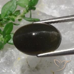 Cat's eye scapolite marrom natural 6,38ct, corte oval, translúcido
