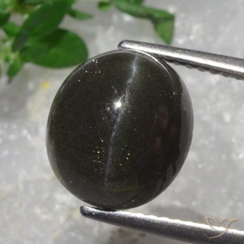 5.43ct Natural Chocolate Amargo Escapolita Olho de Gato, oval, Translúcido