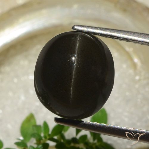 5.83ct Natural Preto Escapolita Olho de Gato, oval, Translúcido