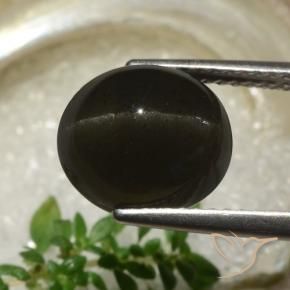 Escapolita Olho de Gato Preto Natural 5.83ct, oval, Translúcido