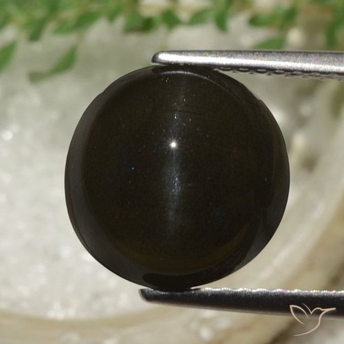 6.53ct Natural Marrom escuro Escapolita Olho de Gato, Redondo, Translúcido