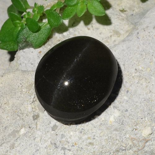 7.45ct Natural Preto Escapolita Olho de Gato, oval, Translúcido