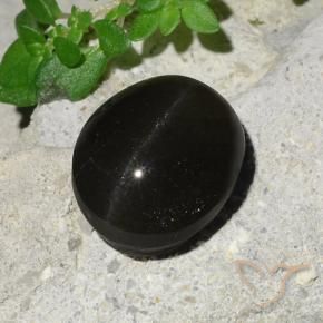 Escapolita Olho de Gato Preto Natural 7.45ct, oval, Translúcido