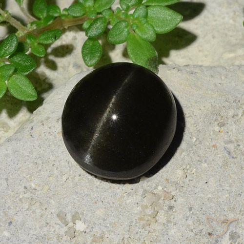5.12ct Natural Preto Escapolita Olho de Gato, oval, Translúcido