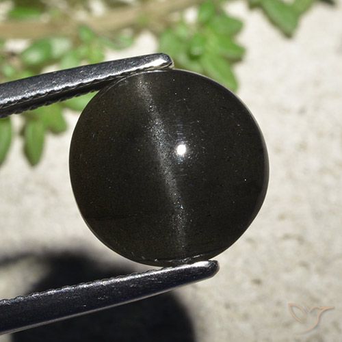 6.48ct Natural Preto Escapolita Olho de Gato, Redondo, Translúcido