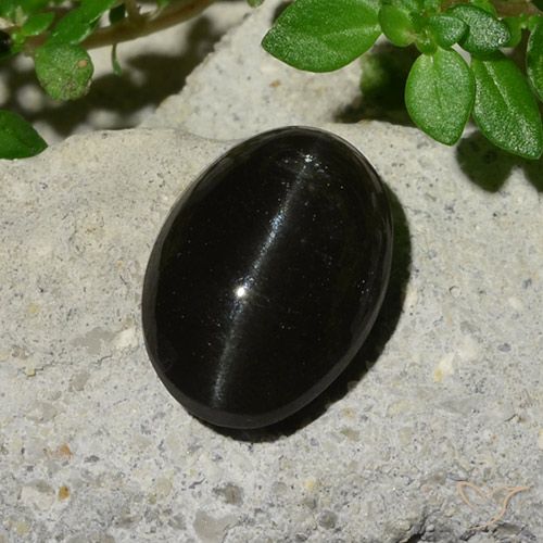 5.12ct Natural Preto Escapolita Olho de Gato, oval, Translúcido