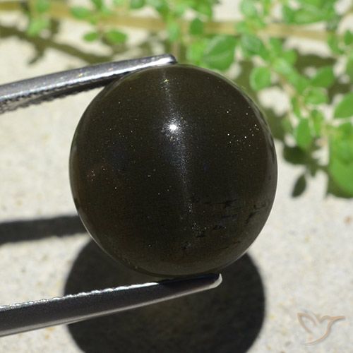 14.13ct Natural Preto Escapolita Olho de Gato, oval, Opaco
