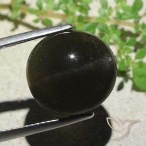 Escapolita Olho de Gato Preto Natural 14.13ct, oval, Opaco