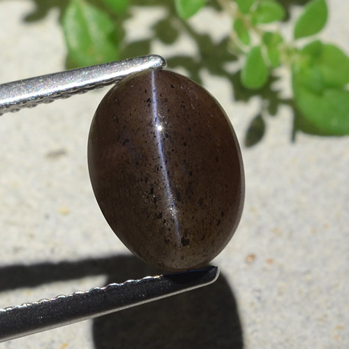 Escapolita Olho de Gato preto quente Natural 4.04ct, Corte Oval, Translúcido