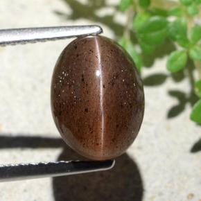 Cat's eye scapolite marrom natural 4,55ct, corte oval, translúcido