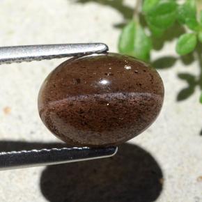 Cat's eye scapolite marrom natural 4,55ct, corte oval, translúcido