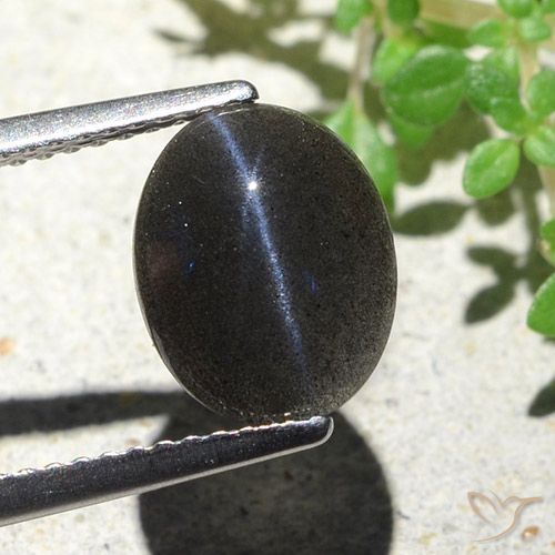2.85ct Natural Preto Escapolita Olho de Gato, oval, Opaco