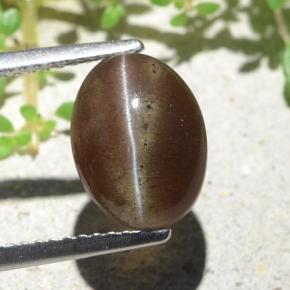 Cat's eye scapolite marrom natural 3,84ct, corte oval, translúcido