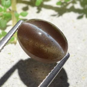 Cat's eye scapolite marrom natural 3,84ct, corte oval, translúcido