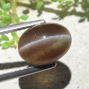 Cat's eye scapolite marrom natural 3,84ct, corte oval, translúcido